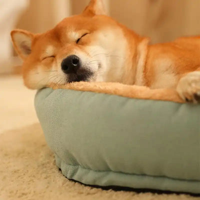 Pet Dog Bed Sofa Deep Sleeping Beds for Small Medium Large Dogs Detachable Winter Warm Cushion Cat House Kennel Mat Pet Products